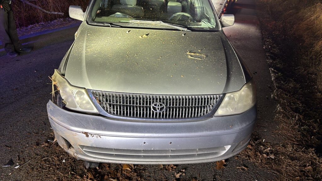 2000 Toyota Avalon photo 1